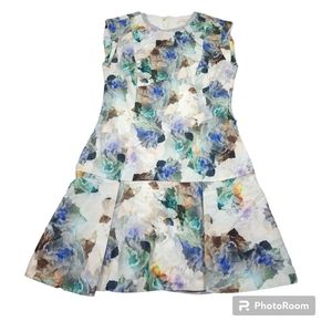 Rebecca Taylor Enchanted Garden Floral Dress Women's Mini Peplum Skirt